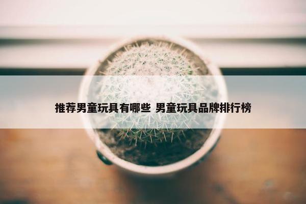 推荐男童玩具有哪些 男童玩具品牌排行榜