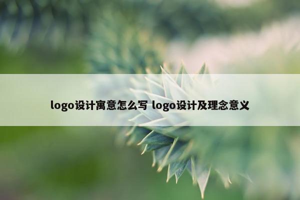 logo设计寓意怎么写 logo设计及理念意义