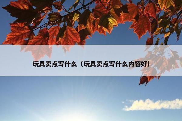 玩具卖点写什么（玩具卖点写什么内容好）