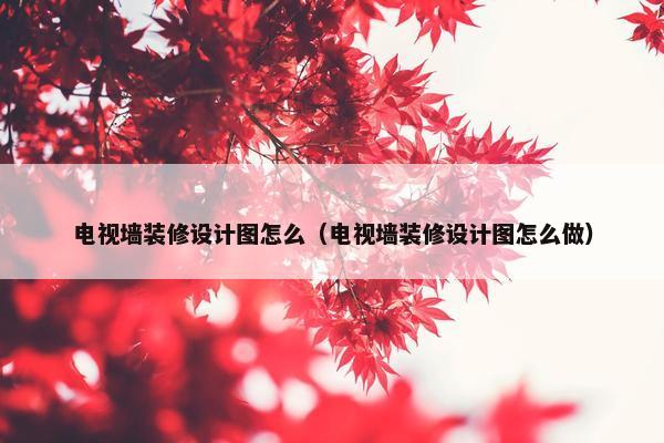 电视墙装修设计图怎么（电视墙装修设计图怎么做）