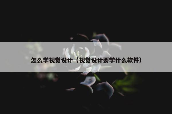 怎么学视觉设计（视觉设计要学什么软件）