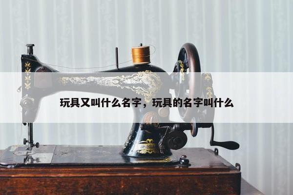 玩具又叫什么名字，玩具的名字叫什么