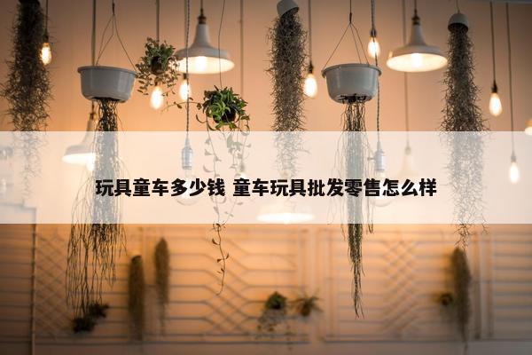 玩具童车多少钱 童车玩具批发零售怎么样