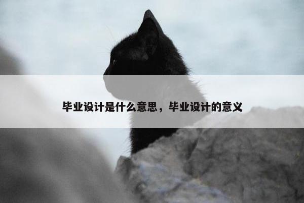 毕业设计是什么意思，毕业设计的意义