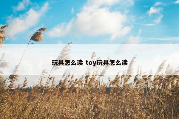 玩具怎么读 toy玩具怎么读