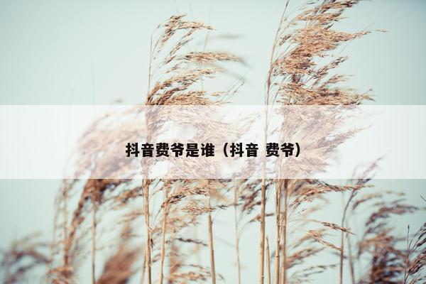 抖音费爷是谁（抖音 费爷）