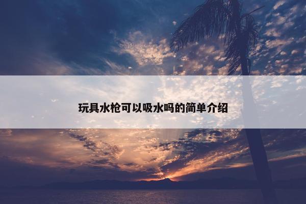 玩具水枪可以吸水吗的简单介绍