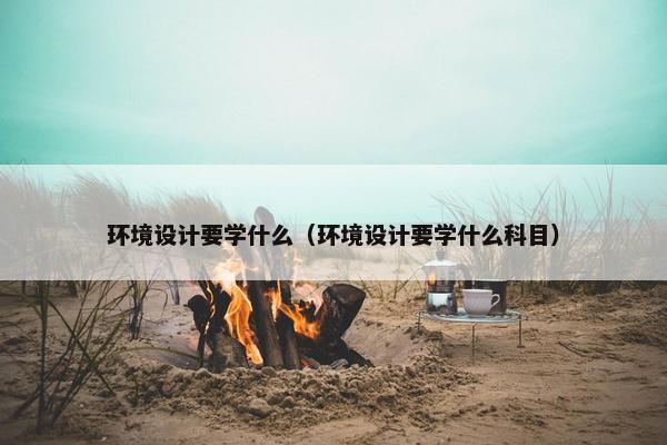 环境设计要学什么（环境设计要学什么科目）