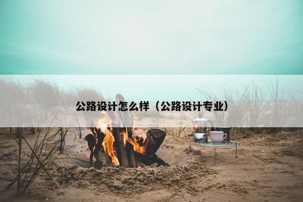 公路设计怎么样（公路设计专业）