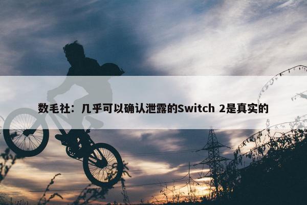 数毛社：几乎可以确认泄露的Switch 2是真实的