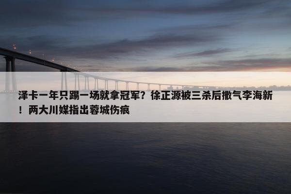 泽卡一年只踢一场就拿冠军？徐正源被三杀后撒气李海新！两大川媒指出蓉城伤痕