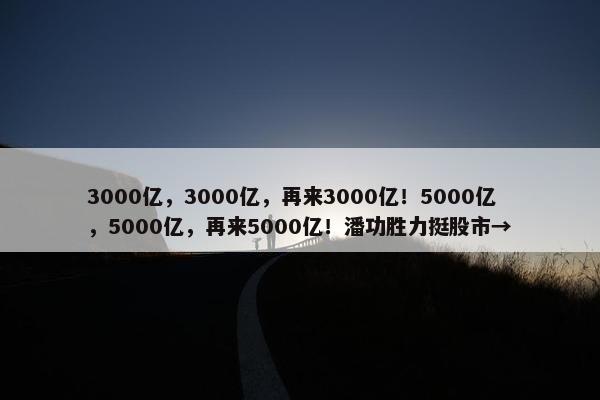 3000亿，3000亿，再来3000亿！5000亿，5000亿，再来5000亿！潘功胜力挺股市→