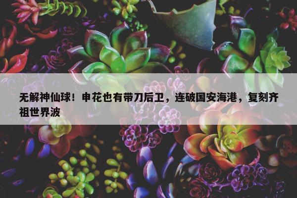 无解神仙球！申花也有带刀后卫，连破国安海港，复刻齐祖世界波