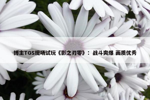 博主TGS现场试玩《影之刃零》：战斗爽爆 画质优秀