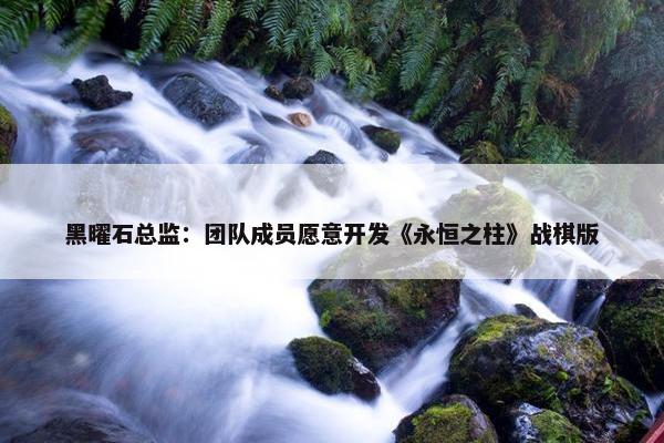 黑曜石总监：团队成员愿意开发《永恒之柱》战棋版