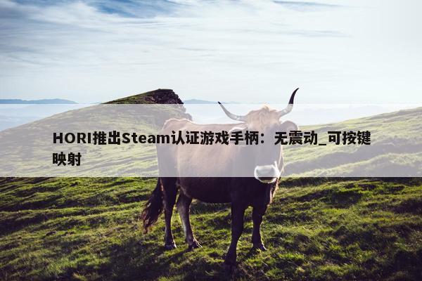 HORI推出Steam认证游戏手柄：无震动_可按键映射