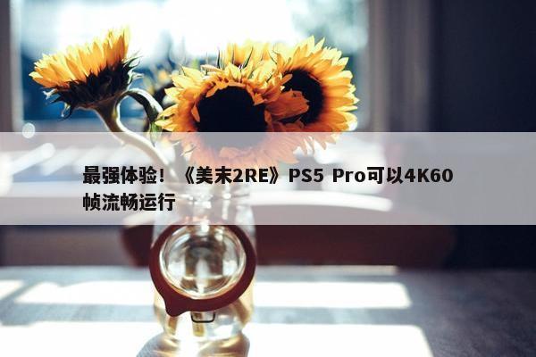 最强体验！《美末2RE》PS5 Pro可以4K60帧流畅运行