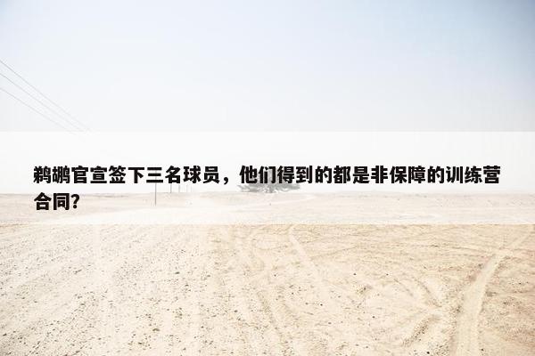 鹈鹕官宣签下三名球员，他们得到的都是非保障的训练营合同？