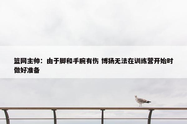 篮网主帅：由于脚和手腕有伤 博扬无法在训练营开始时做好准备