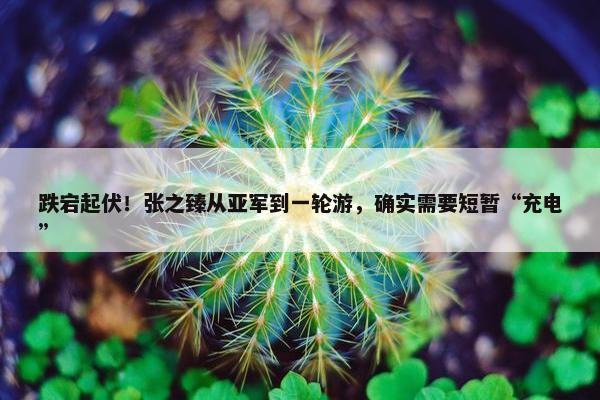 跌宕起伏！张之臻从亚军到一轮游，确实需要短暂“充电”