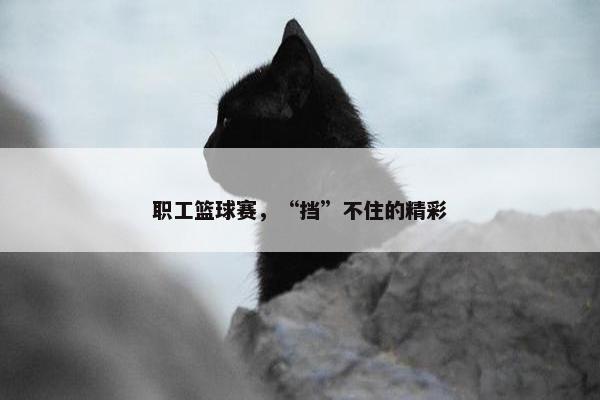 职工篮球赛，“挡”不住的精彩