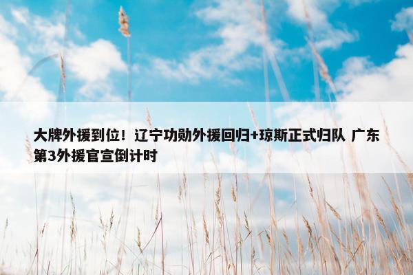 大牌外援到位！辽宁功勋外援回归+琼斯正式归队 广东第3外援官宣倒计时