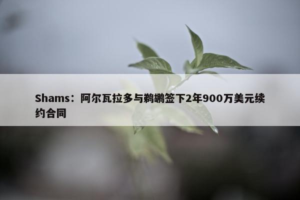 Shams：阿尔瓦拉多与鹈鹕签下2年900万美元续约合同