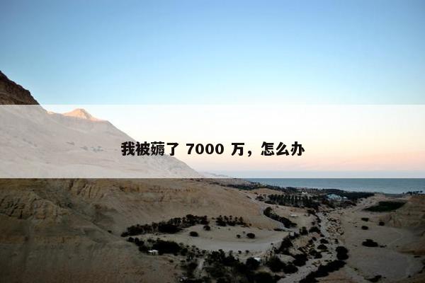 我被薅了 7000 万，怎么办