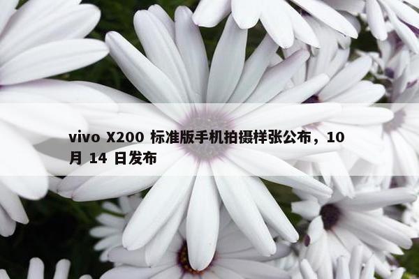 vivo X200 标准版手机拍摄样张公布，10 月 14 日发布