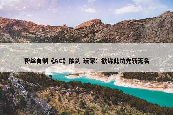 粉丝自制《AC》袖剑 玩家：欲练此功先斩无名