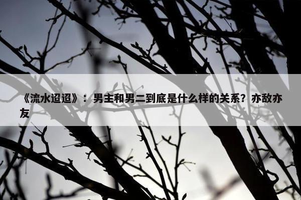 《流水迢迢》：男主和男二到底是什么样的关系？亦敌亦友