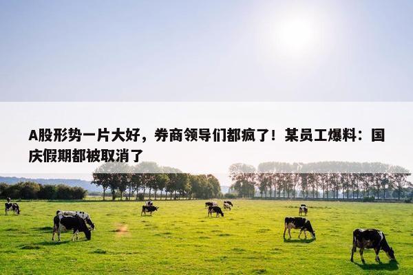 A股形势一片大好，券商领导们都疯了！某员工爆料：国庆假期都被取消了