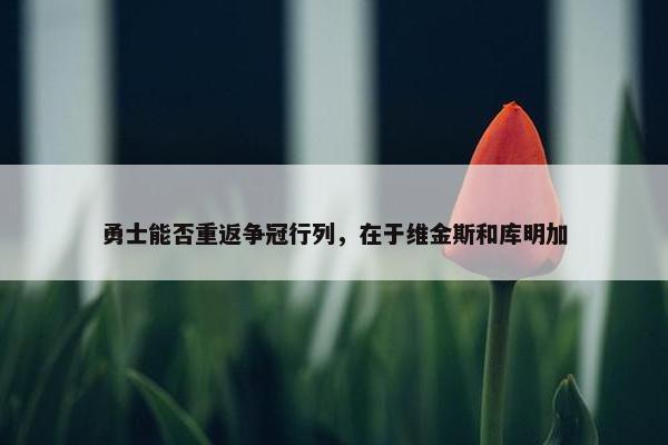 勇士能否重返争冠行列，在于维金斯和库明加