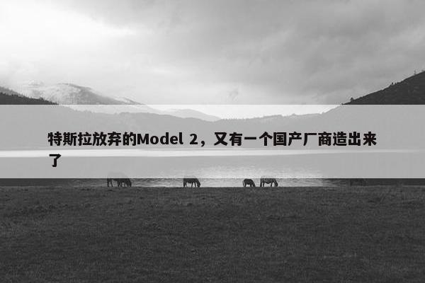 特斯拉放弃的Model 2，又有一个国产厂商造出来了