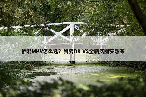 插混MPV怎么选？腾势D9 VS全新岚图梦想家