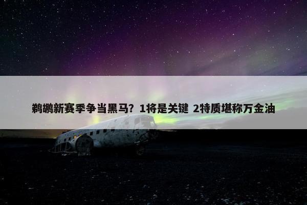 鹈鹕新赛季争当黑马？1将是关键 2特质堪称万金油