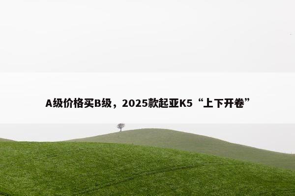 A级价格买B级，2025款起亚K5“上下开卷”