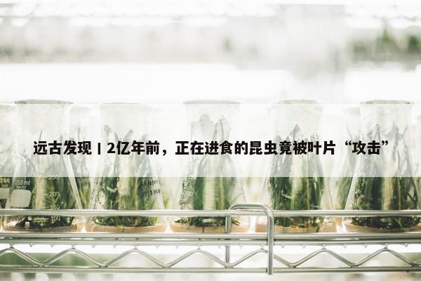 远古发现丨2亿年前，正在进食的昆虫竟被叶片“攻击”