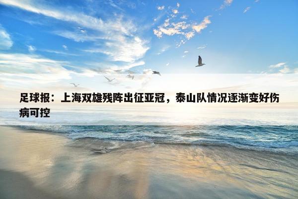 足球报：上海双雄残阵出征亚冠，泰山队情况逐渐变好伤病可控