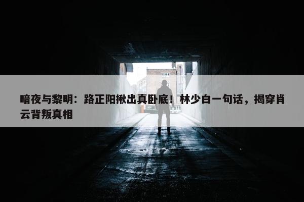 暗夜与黎明：路正阳揪出真卧底！林少白一句话，揭穿肖云背叛真相