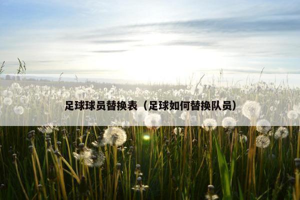 足球球员替换表（足球如何替换队员）