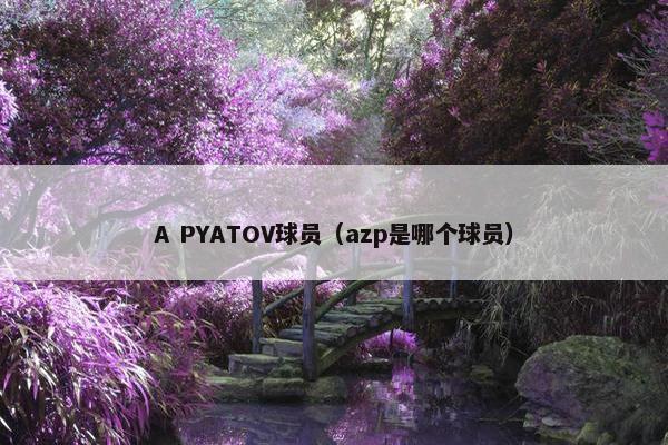 A PYATOV球员（azp是哪个球员）