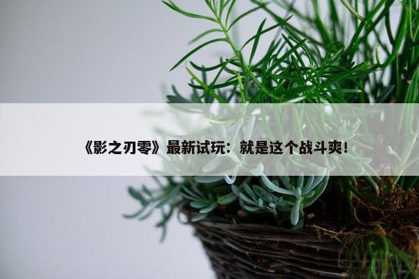 《影之刃零》最新试玩：就是这个战斗爽！