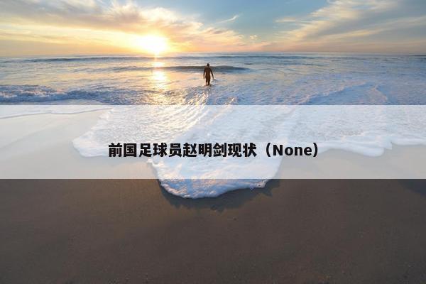 前国足球员赵明剑现状（None）