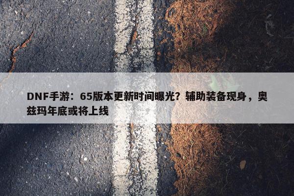 DNF手游：65版本更新时间曝光？辅助装备现身，奥兹玛年底或将上线