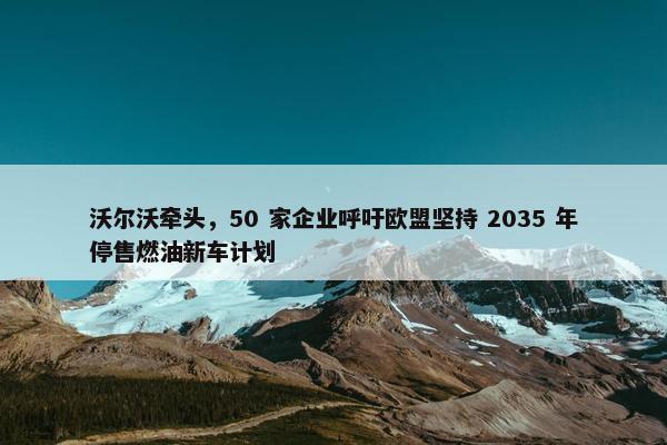 沃尔沃牵头，50 家企业呼吁欧盟坚持 2035 年停售燃油新车计划