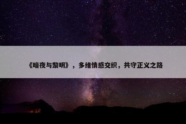 《暗夜与黎明》，多维情感交织，共守正义之路