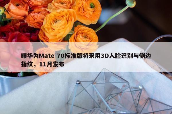 曝华为Mate 70标准版将采用3D人脸识别与侧边指纹，11月发布