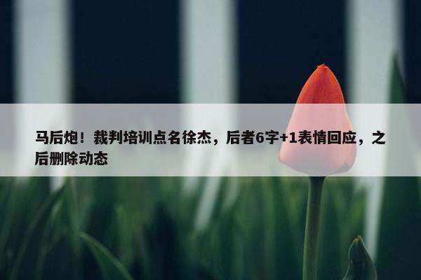 马后炮！裁判培训点名徐杰，后者6字+1表情回应，之后删除动态