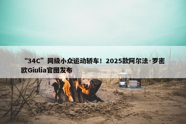 “34C”同级小众运动轿车！2025款阿尔法·罗密欧Giulia官图发布